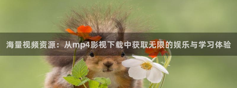 青柠影视官网