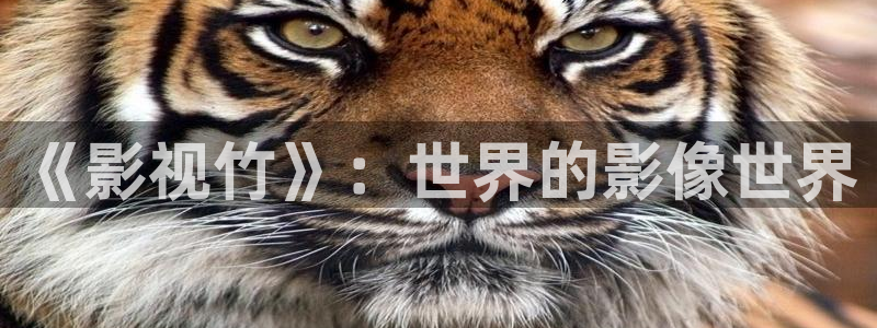 青柠影视官网