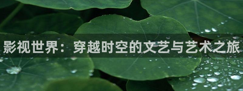 青柠影院免费看高清电视剧